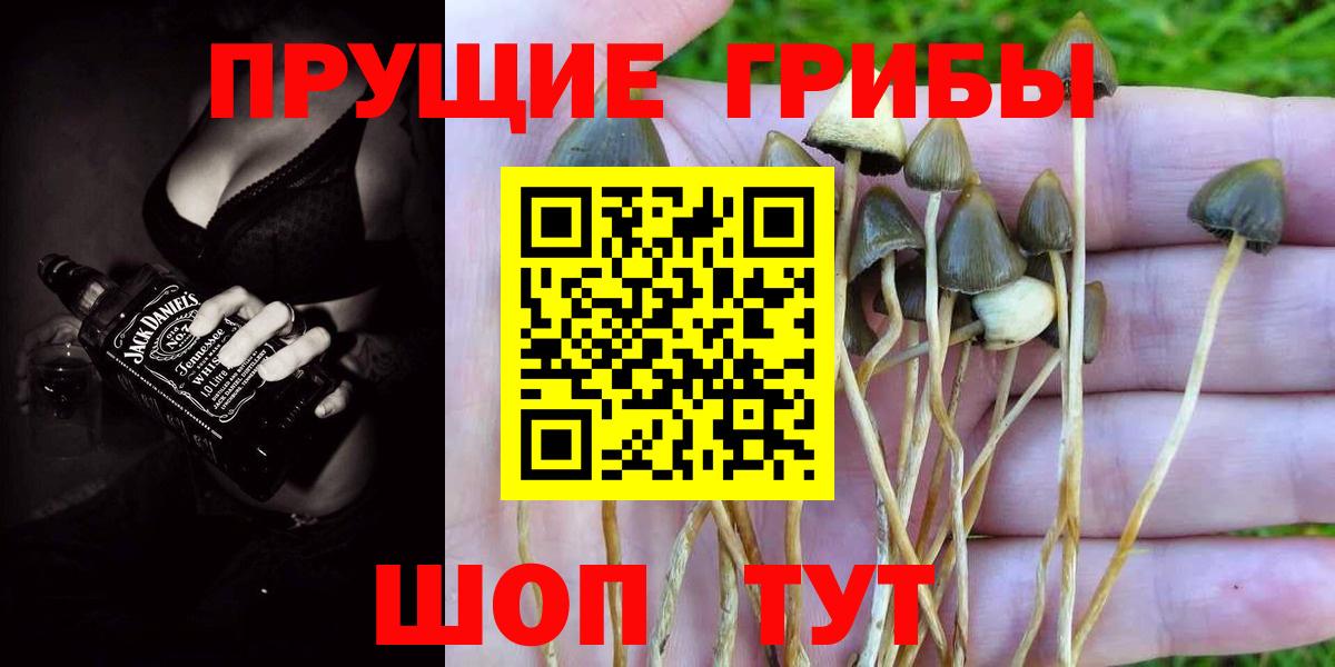 Галлюциногенные грибы прущие грибы Нальчик